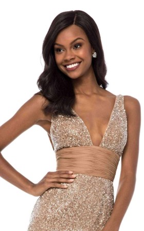 Fenduch FD 51642 Dress