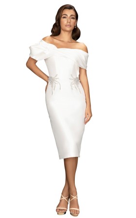 Evenings 2011C2009 Dress