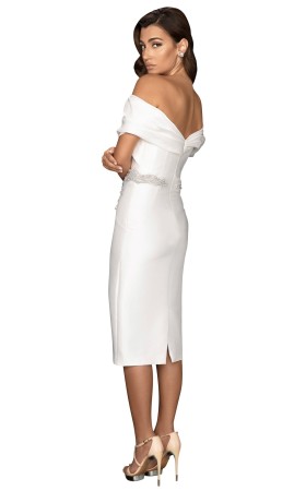 Evenings 2011C2009 Dress