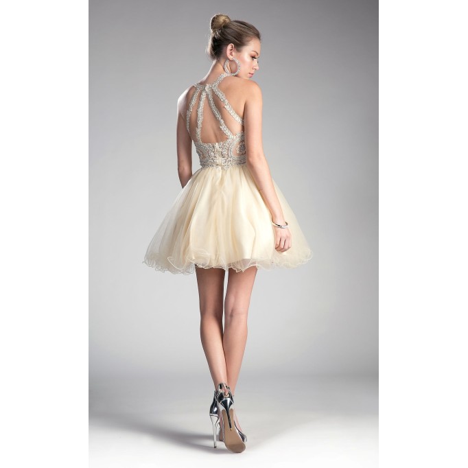 Women Fenduch UJ0119 Dress