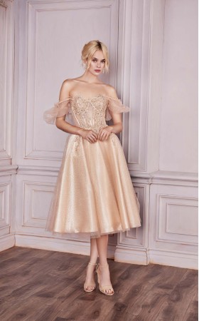 Women Fenduch CD0187 Dress