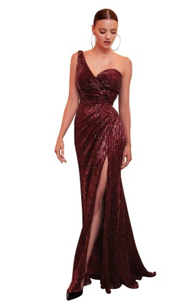 Women Fenduch CH182 Dress