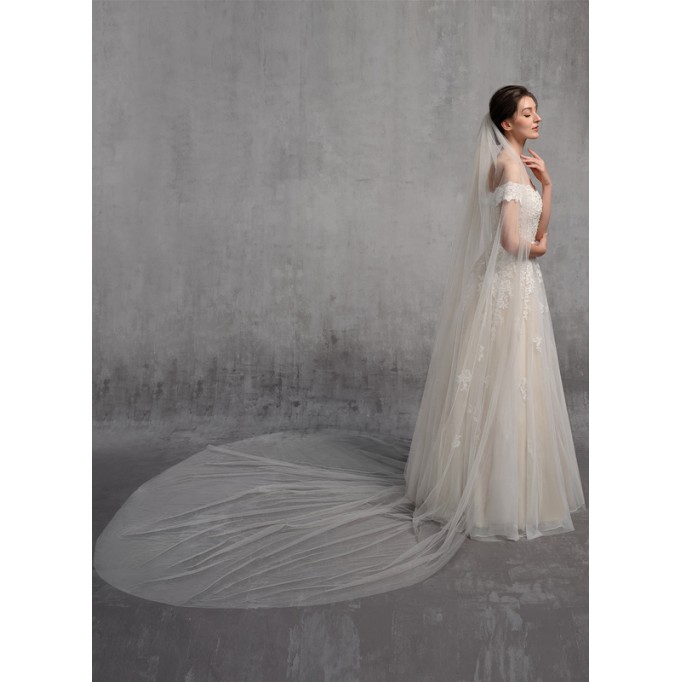 One-tier Cut Edge Cathedral Bridal Veils With Lace