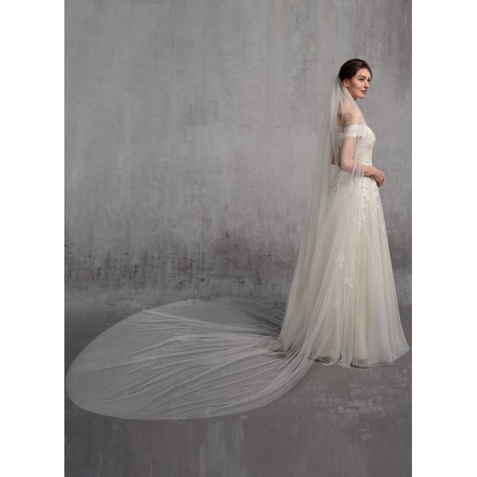 One-tier Cut Edge Cathedral Bridal Veils With Lace