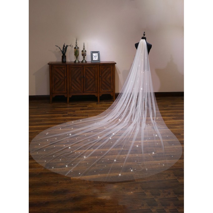 One-tier Cut Edge Cathedral Bridal Veils With Lace