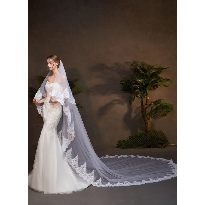 Two-tier Lace Applique Edge Cathedral Bridal Veils With Lace