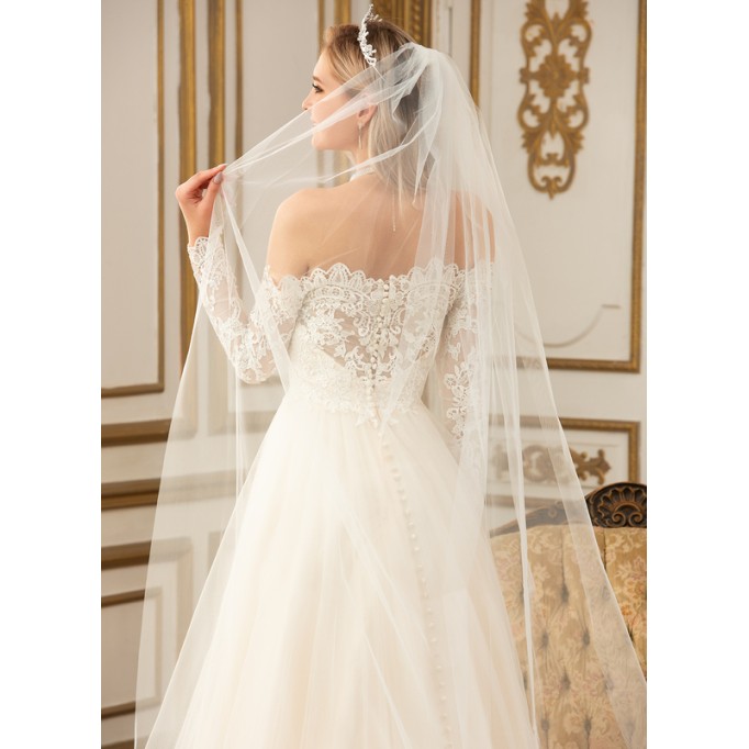 One-tier Lace Applique Edge Cathedral Bridal Veils With Lace