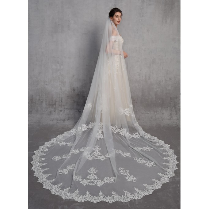 One-tier Lace Applique Edge Cathedral Bridal Veils With Lace